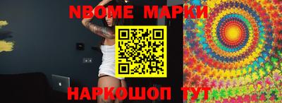 гидра Ставрополь