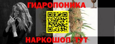 гидра Ставрополь
