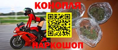 гидра Ставрополь