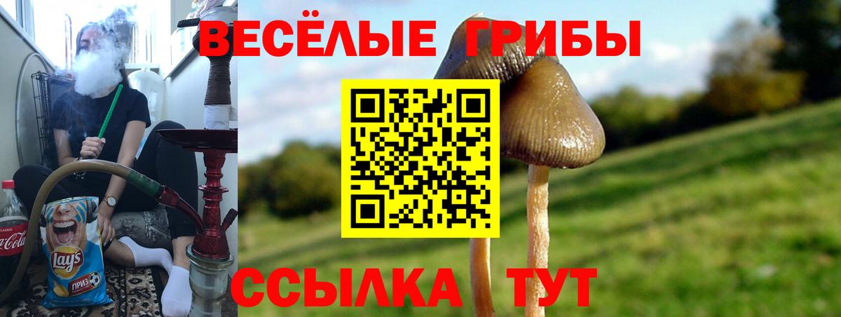 Прохладный  Псилоцибиновые грибы мухоморы  где купить наркотик  Вход с VPN 