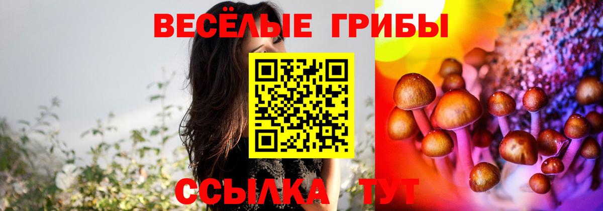 Псилоцибиновые грибы мухоморы Прохладный